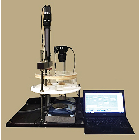 2121非凡国际·(中国)体育官方网站