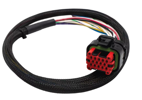 2121非凡国际·(中国)体育官方网站